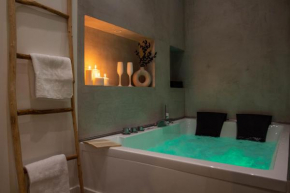 Le 93 BARABAN&SPA-PROXIMITE GARE DE LYON-